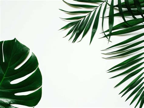 14 Spiritual Meanings of Color Green, Symbolism & Psychology - What ...