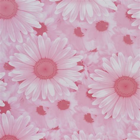 Buy Bag Factory Wallpaper Coverage 56 SFT @ Rs 16/ SFT Pink with Flower ...