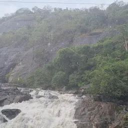 Manimutharu WaterFalls - Tourist attraction - Singampatti Zamindar ...