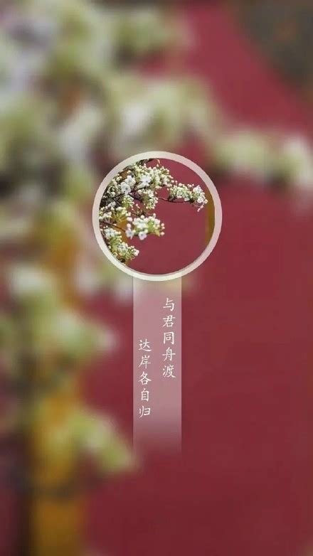 中国古风诗词文字图片