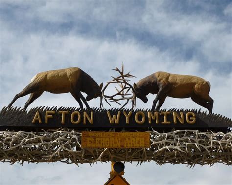 Fuel and Lubricant Solutions in Afton, WY | Conrad & Bischoff