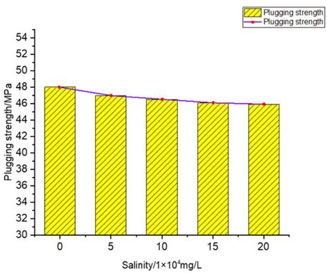 A Novel Application of New High-Strength Plugging Agent in Baikouquan ...