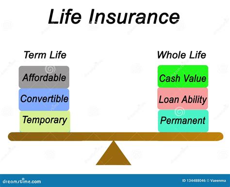 Life Insurance Types 的图像结果