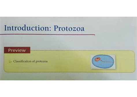 Protozoa introduction - Bsc MLT - Studocu