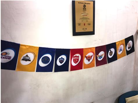 THE FLAG SHOP IPL CRICKET TEAM BUNTING FOR DECORATIONS (100 FT) 6 inch ...