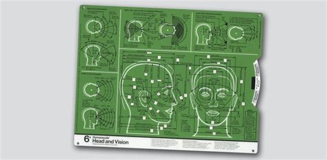 Image result for Humanscale Chart