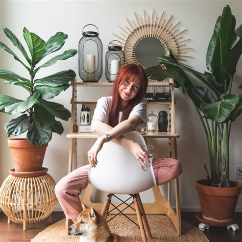 WorkDesk 的图像结果