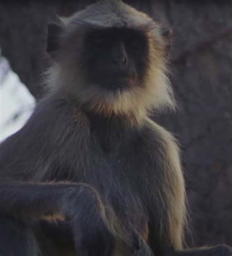 Jio MAMI Mumbai Film Festival: Top 10 Indian films like Kareena Kapoor ...