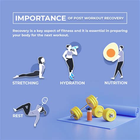 Revitalize Your Body: The Perfect Post-Workout Stretch and Nutrition ...
