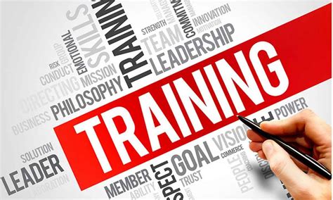 Training Check In 的图像结果