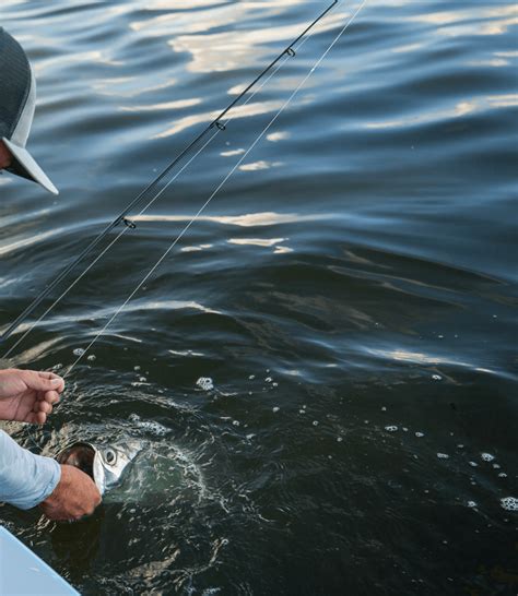 An Introduction to Types of Fishing Lines (Updated Nov 2023) - AnyCreek