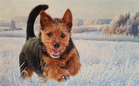 Homepage der Ortsgruppe 7 Türme in Lübeck des KfT v. 1894 e.V