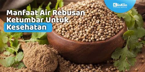 manfaat air rebusan ketumbar bagi kesehatan
