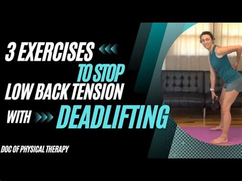 Image result for Multifidus Exercises