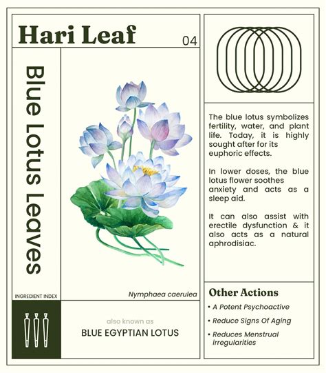 Hari Leaf Calm Blend - Bubblegum | Nicotine-Free Herbal Mix – HighJack