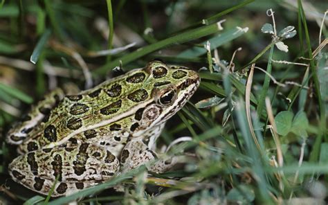 Santa Fe Canyon Preserve | The Nature Conservancy in New Mexico