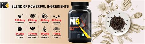 MuscleBlaze MB-Burner PRO (60 Tablets) | L- Carnitine, Garcinia ...