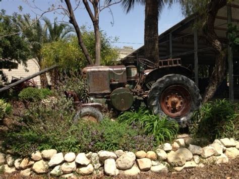 Novelda Pictures - Traveller Photos of Novelda, Province of Alicante ...