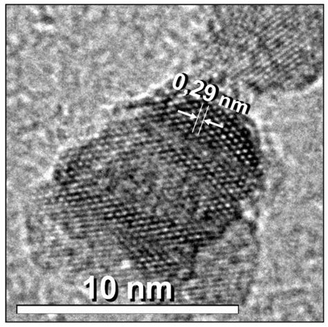 Magnetic Characterization by Scanning Microscopy of Functionalized Iron ...
