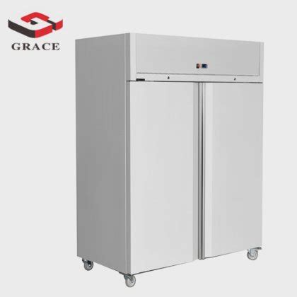 Single Double Door Freezer GRACE Customized Upright Chiller Full series ...