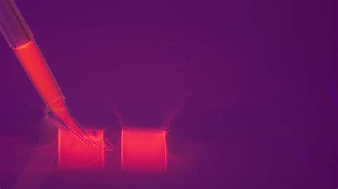 MODY-Diabetes: richtig erkennen, behandeln und beraten - Endokrinologie ...