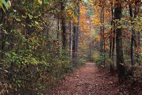 Image result for Transcript for Qulaitative Study Interview Sample