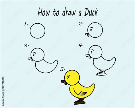 Image result for Drawing a Duck Step by Step