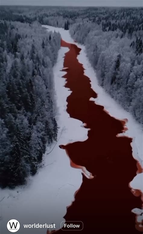 Blood Red River in Snowy Forest