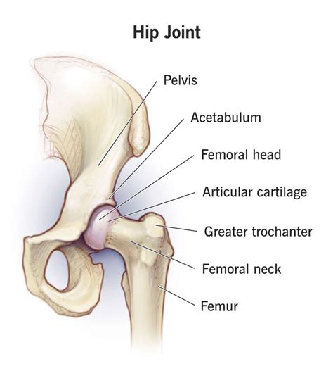 Chronic Hip Joint Pain - Dr Karthikeyan Damodharan