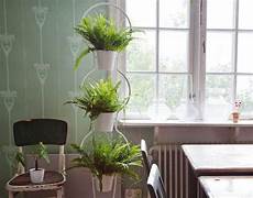 fiori a casa piante e fiori per decorare casa ecco 15 idee green fiori a casa piante e fiori per decorare casa ecco 15 idee green