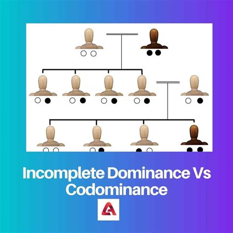 Incomplete Dominance vs Codominance: Difference and Comparison