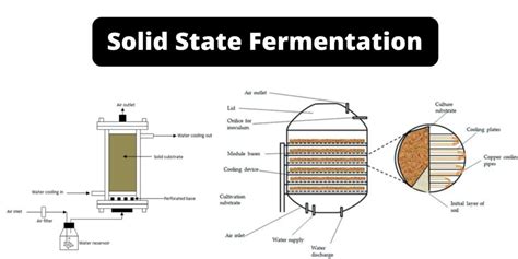 Semi Solid State Fermentation 的图像结果