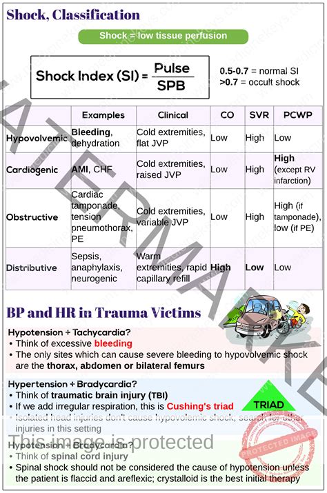 Types Of Shock In Veterinary Medicine at Katharine Gillis blog