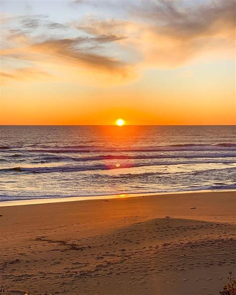 Image result for Sunset Python Snake