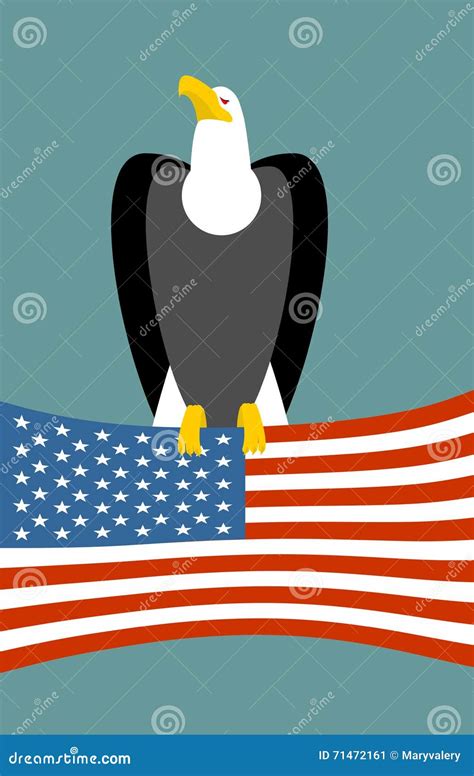 American Symbols 的图像结果