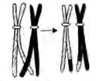 The given figure is the representation of a certain event at a ...