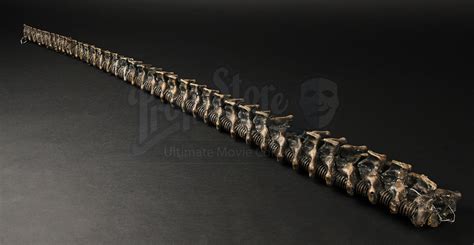 Alien Tail 的图像结果