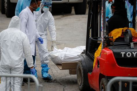 NYC won’t temporarily bury coronavirus victims in city parks ...