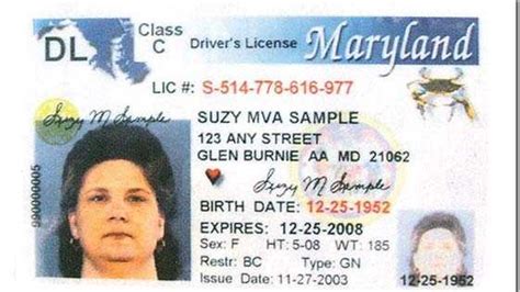 Image result for Valid Driver License Current