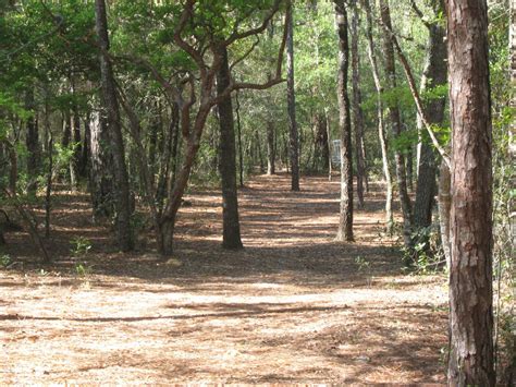 Hole 8 • Whispering Pines Park (Inverness, FL) | Disc Golf Courses ...