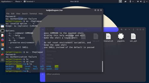 Image result for Best Kali Linux Customization