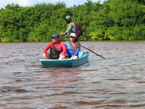 MAYAN ECOTOURS - All You Need to Know BEFORE You Go (with Photos ...