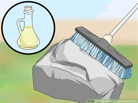 How to Clean Garden Rocks 的图像结果