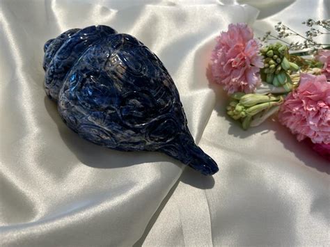 Buy Natural Sodalite ConchOnline | Semi Precious Stone | Gem Anatomy ...