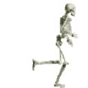 Skeleton Running Sticker - Skeleton Running Esckia - Discover & Share GIFs