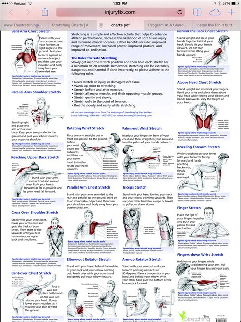 cervical radiculopathy physical therapy pdf - Come A Long Weblogs Photo ...