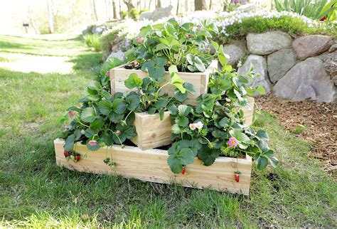 Strawberry Planters Diy