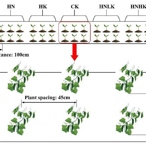 Simple Experiment Design 的图像结果