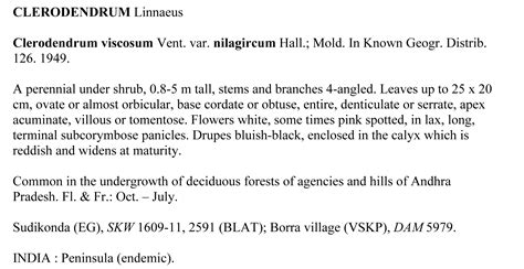 Herbarium JCB