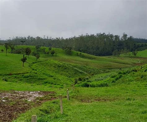 LITTLE ENGLAND TOUR NUWARA ELIYA (2025) All You Need to Know BEFORE You ...